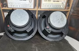 BG1080C PAS Woofers Speakers #2