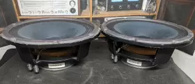 BG1080C PAS Woofers Speakers #3