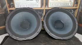 BG1080C PAS Woofers Speakers