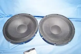 CA-S150 PEAVEY Cinema Theater Speaker Woofers Eminence