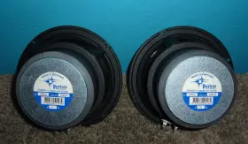 850248 PEERLESS Woofer Speakers Denmark #3 850248 PEERLESS Woofer Speakers Denmark #3