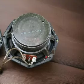 5060 PHILIPS Woofers #3