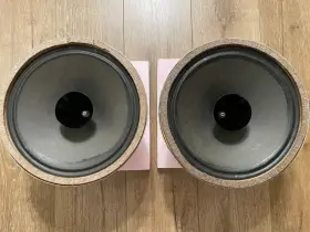 9801-50 PHILIPS Alnico Speakers