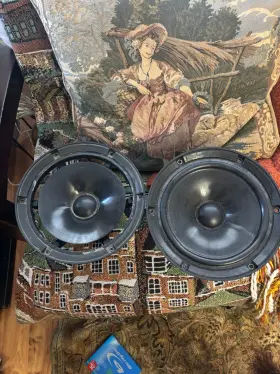 FB-1000 PHILIPS Woofers Reconining