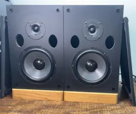 PAS28 PINNACLE Speakers Sound Great PAS28 PINNACLE Speakers Sound Great