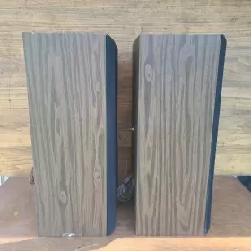 CL-30 PIONEER Centrex Wood Grain Floor Speaker #3 CL-30 PIONEER Centrex Wood Grain Floor Speaker #3