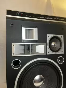 CS-603 PIONEER Speakers Must #2 CS-603 PIONEER Speakers Must #2