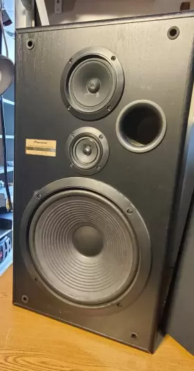 CS-G305-K PIONEER Speaker Watch Video Demo #2