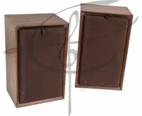 CS10 PIONEER Centrex Audio Speaker #2 CS10 PIONEER Centrex Audio Speaker #2