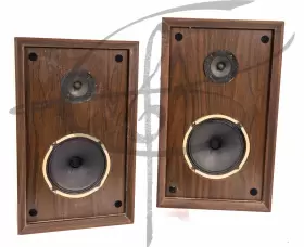 CS10 PIONEER Centrex Audio Speaker #3 CS10 PIONEER Centrex Audio Speaker #3