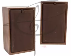 CS10 PIONEER Centrex Audio Speaker CS10 PIONEER Centrex Audio Speaker