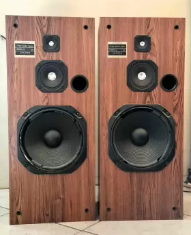 CSG7001 PIONEER Loudspeakers #2 CSG7001 PIONEER Loudspeakers #2