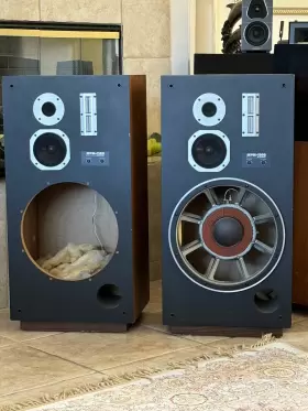 HPM-1100 PIONEER Driver Floor Speakers Pro HPM-1100 PIONEER Driver Floor Speakers Pro
