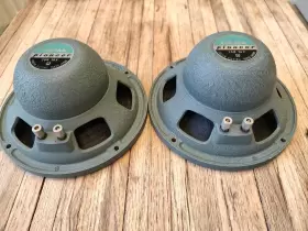 PM-16A PIONEER Alnico Midrange