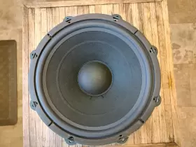PW-30C PIONEER Alnico Woofer PW-30C PIONEER Alnico Woofer