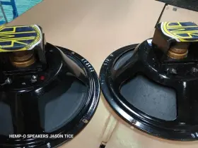 25KPP-SA PMR Alnico Speaker American Tonality Jensen