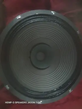 30PKW-SA PMR Alnico Speaker Guitar Whizzer Cone Coil