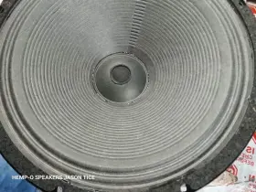 30SKP-SA PMR Alnico Speaker Copper Nomex Seamed Cone Power
