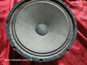 30SNP-SA PMR Guitar Speaker Watts Paper Seamed Cone Copper