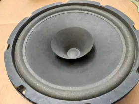 C10FEPAXB QUAM Speakers