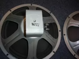 921628-9 RCA Alnico Woofers #3 921628-9 RCA Alnico Woofers #3