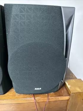 RS2501 RCA Twin Speakers #2 RS2501 RCA Twin Speakers #2