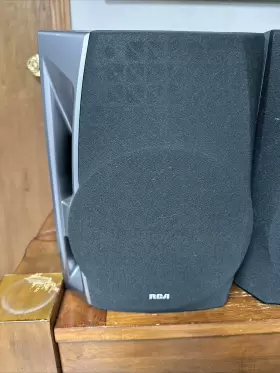 RS2501 RCA Twin Speakers #3 RS2501 RCA Twin Speakers #3