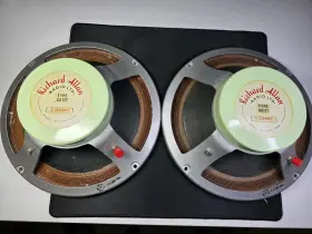 CG12T RICHARD ALLAN Speaker