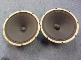 17656-17657 ROLA Alnico Speakers #2