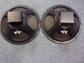 17656-17657 ROLA Alnico Speakers