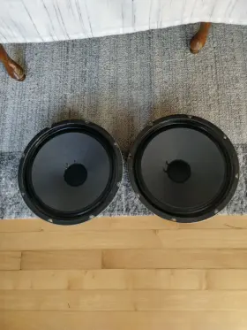 285005 ROLA Woofers Dot Roland