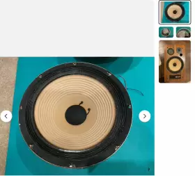3600 RSL Studio Monitor Speaker Woofer