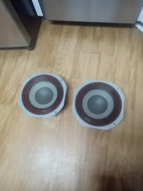W-134 SANSUI Linear Motion Woofers