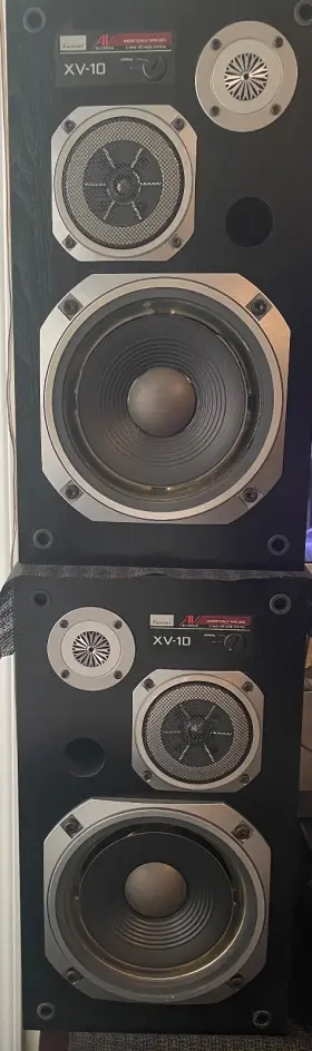 XV-10 SANSUI Speaker Set Foam Repair