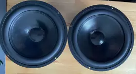 21RE TV Woofers