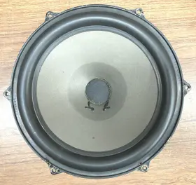 25TV-EW DYNACO Woofer