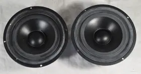 P17REX Norway Speakers
