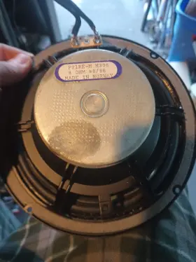 P21RE-M IN Woofer Norway Mission Speaker #2