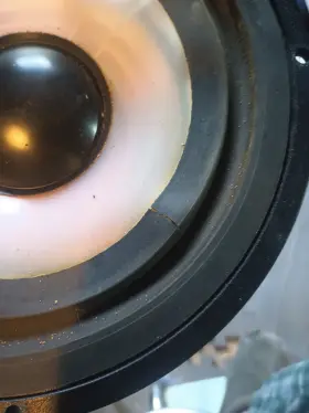 P21RE-M IN Woofer Norway Mission Speaker #3
