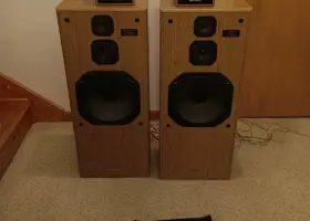 CP-5800P SHARP Speakers Wooden