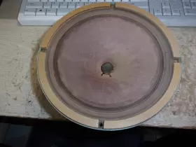 H-8060 SINUS/SANUS Alnico Speaker Fisher #2