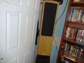 SS-TL3 SONY Tower Speakers SS-TL3 SONY Tower Speakers
