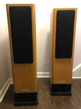 SS-TLS5 SONY Transmission Line Speakers Foam Grills