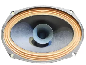 O-AS6916 SPECO Tru Fidelity Coaxial Speaker