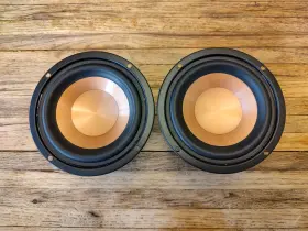 EC0404W1021 STAR FAVOR Copper Poly Cone Woofer Basket