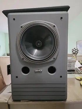 DTM-10 TANNOY Coarxial Single Studio Monitor Speaker