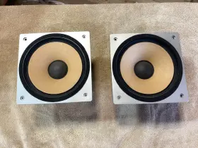 EAS-18PM68S TECHNICS Midrange