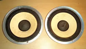 EAS-20PL256A TECHNICS Woofer Speakers