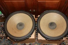 EAS-35PL05SE TECHNICS Woofers