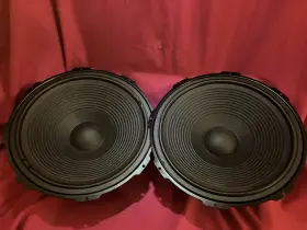 EAS-35PL05SF TECHNICS Woofers Need Refoam